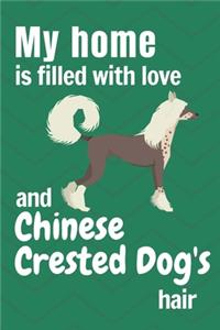My home is filled with love and Chinese Crested Dog's hair