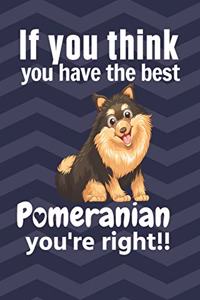 If you think you have the best Pomeranian you're right!!