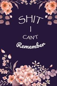 Shit I Can't Remember