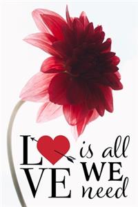 Love is all We Need
