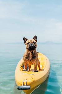 French Bulldogs Dog Pup Puppy Doggie Notebook Bullet Journal Diary Composition Book Notepad - Standing On A Kayak
