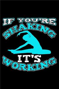 If You're Shaking It's Working