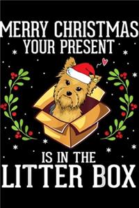 Merry Christmas Your Present In Little Box