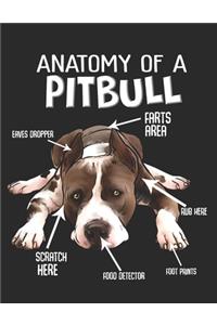 Anatomy of a Pitbull