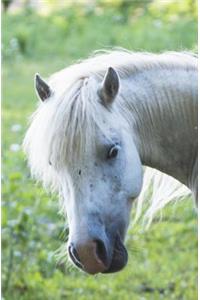 Little White Pony Journal