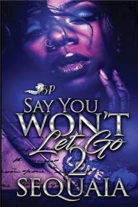 Say You Won't Let Go 2