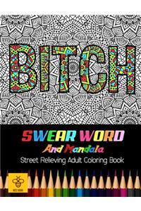 Bitch Swear Word and Mandala Stress Relieving Adult Coloring Book