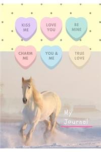 My Journal
