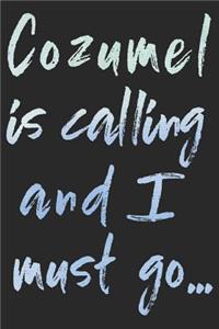 Cozumel Is Calling and I Must Go...
