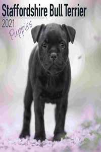 Staffordshire Bull Terrier Puppies 2021 Wall Calendar