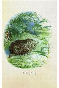 Hedgehog