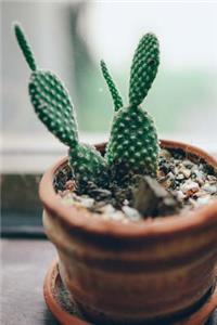 Cactus in a Pot on the Windowsill Journal