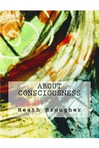 About Consciousness