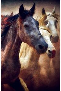 Bullet Journal for Horse Lovers - Running Wild