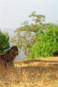 Berber Monkeys Notebook