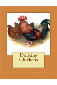 Dorking Chickens