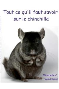 Tout ce qu'il faut savoir sur le chinchilla