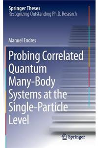 Probing Correlated Quantum Many-Body Systems at the Single-Particle Level