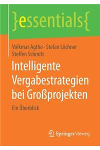 Intelligente Vergabestrategien bei Großprojekten