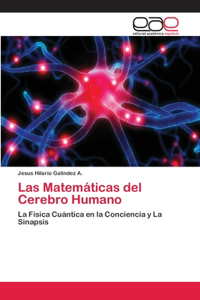 Las Matemáticas del Cerebro Humano