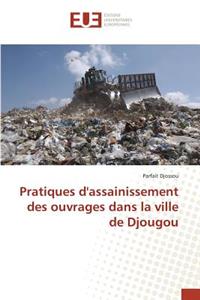Pratiques d'Assainissement Des Ouvrages Dans La Ville de Djougou