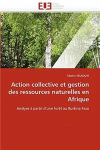 Action collective et gestion des ressources naturelles en afrique