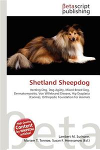 Shetland Sheepdog