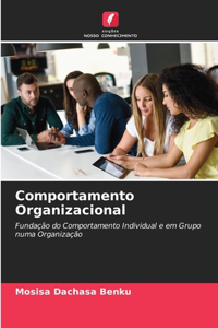 Comportamento Organizacional