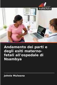 Andamento dei parti e degli esiti materno-fetali all'ospedale di Nsambya