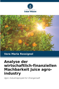 Analyse der wirtschaftlich-finanziellen Machbarkeit Juice agro-industry