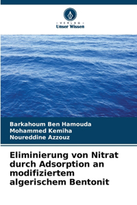 Eliminierung von Nitrat durch Adsorption an modifiziertem algerischem Bentonit