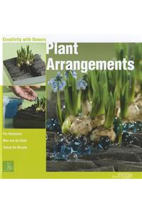 Plant Arrangements: Creativity With Flowers