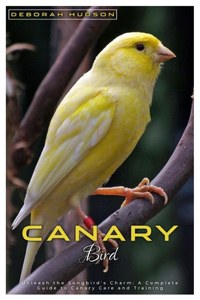 Canary Bird