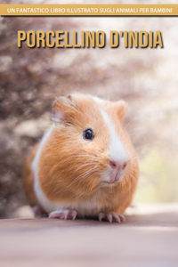 Porcellino D'India