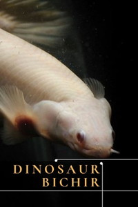 Dinosaur Bichir