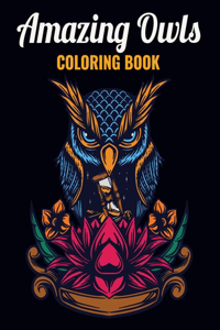 Amazing Owls Coloring Book