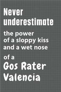 Never underestimate the power of a sloppy kiss and a wet nose of a Gos Rater Valencia