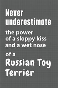 Never underestimate the power of a sloppy kiss and a wet nose of a Russian Toy Terrier