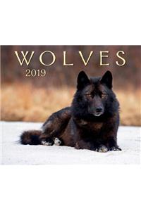 Wolves 2019