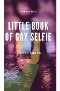 Little book of Gay Selfie