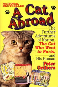 Cat Abroad