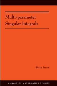 Multi-parameter Singular Integrals, Volume I