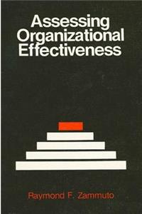 Assessing Organizational Effectiveness