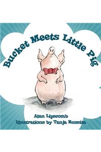 Bucket Meets Little Pig