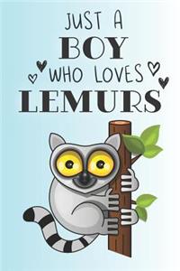 Just A Boy Who Loves Lemurs