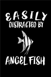 Easily Distracted By Angel Fish