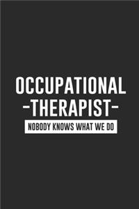 Occupational Therapist