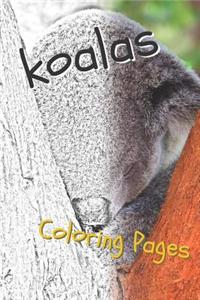 Koala Coloring Pages