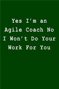 Yes I'm an Agile Coach No I Won't Do Your Work For You