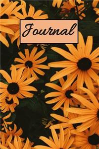 Journal